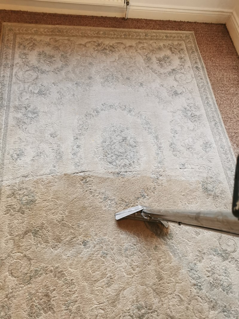 Rug & Mat Cleaning