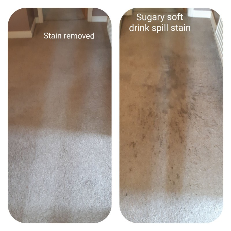 Carpet Cleaning